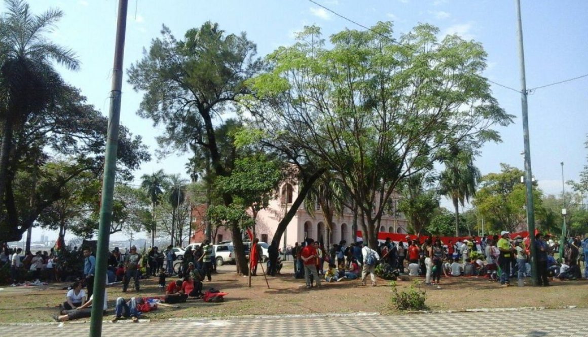 14047283_538856782981324_7334241677816047248_o