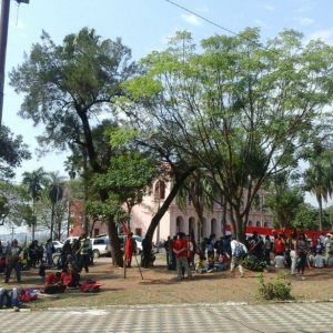 14047283_538856782981324_7334241677816047248_o