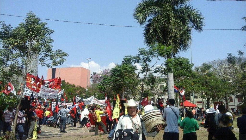 14054414_538856712981331_1763887201868752862_o