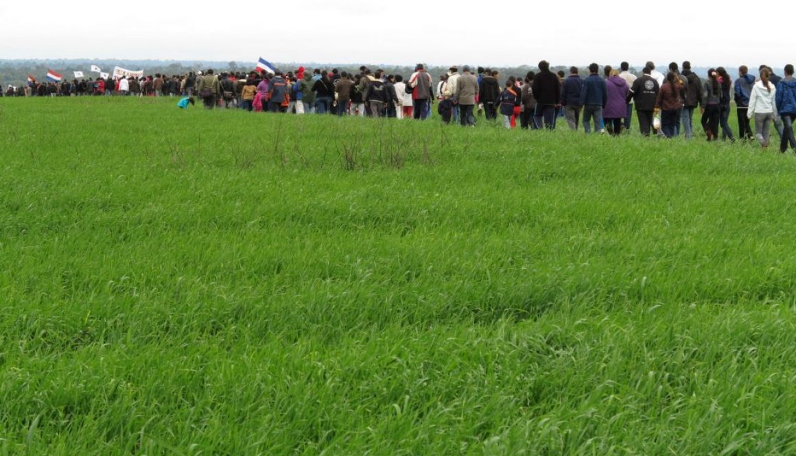 Aniversario 1 a├▒o Marina kue_carolthiede_03