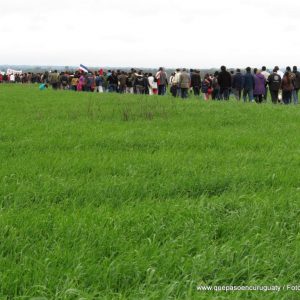 Aniversario 1 a├▒o Marina kue_carolthiede_03